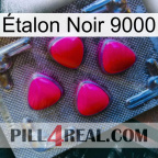 Étalon Noir 9000 13